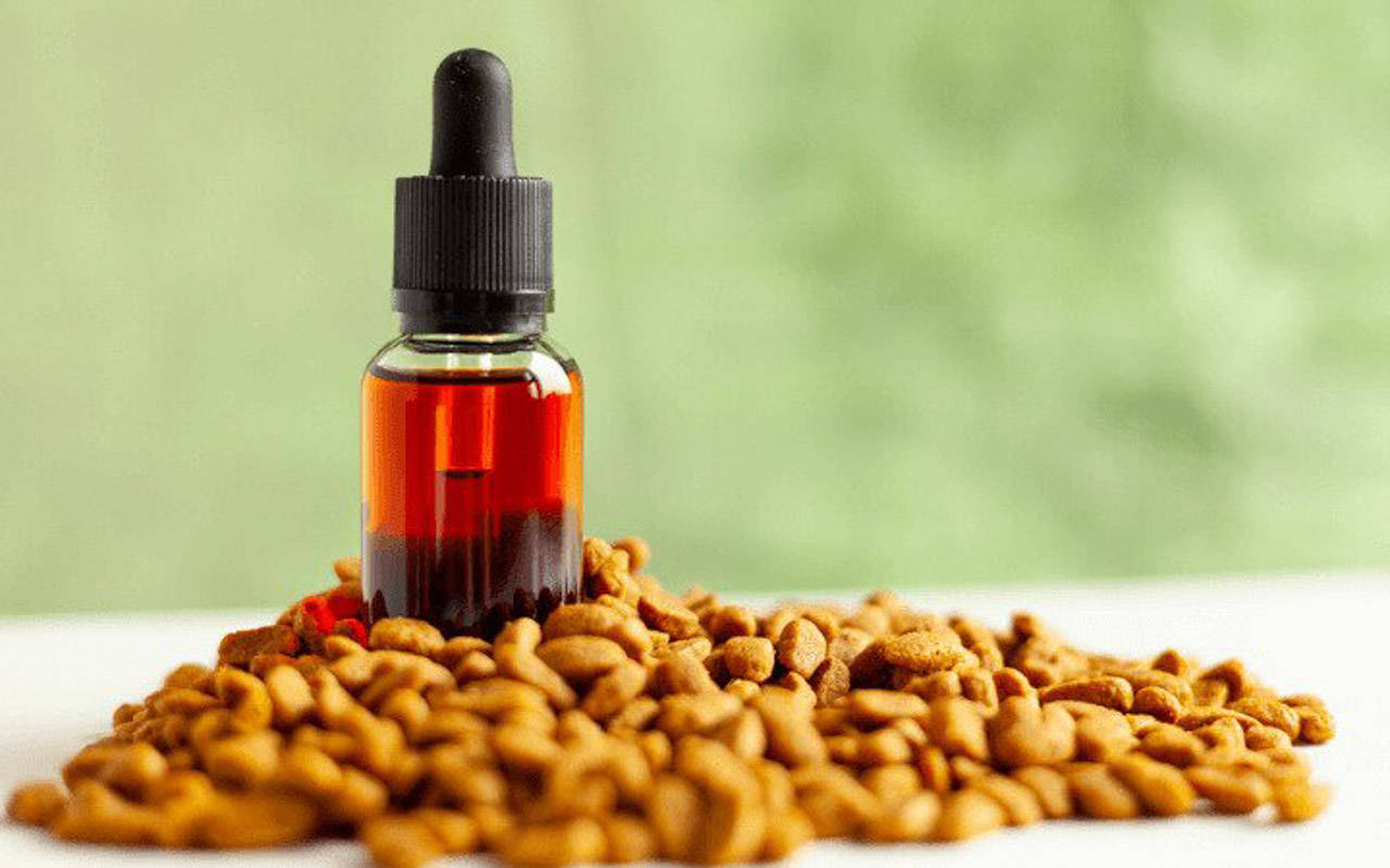 CBD Oil For Dogs