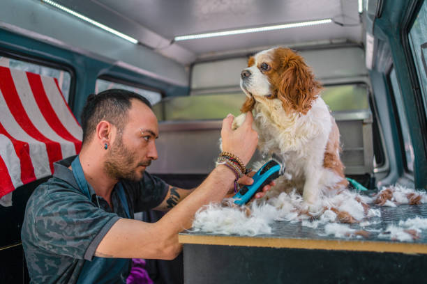 dog wash franchise in Australia