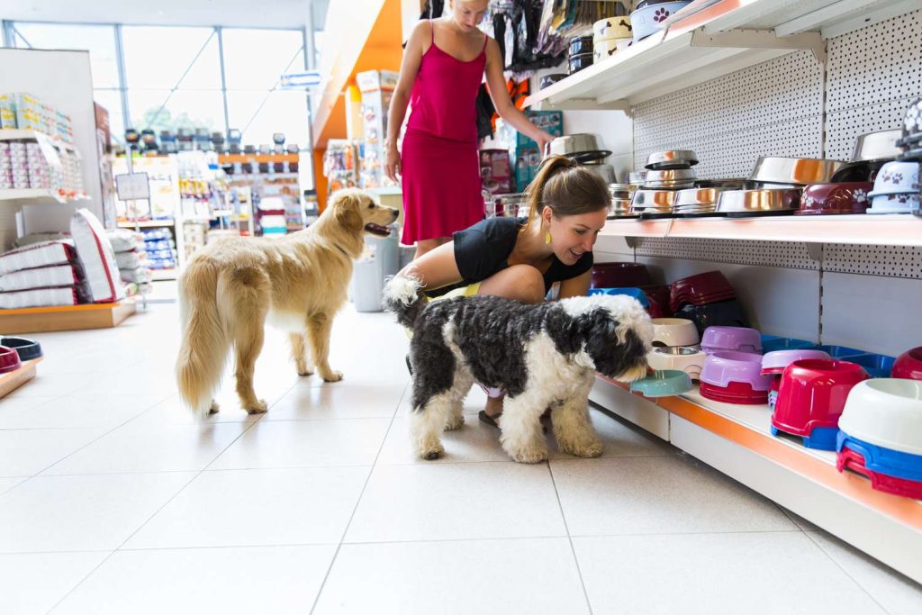 hong kong pet shop